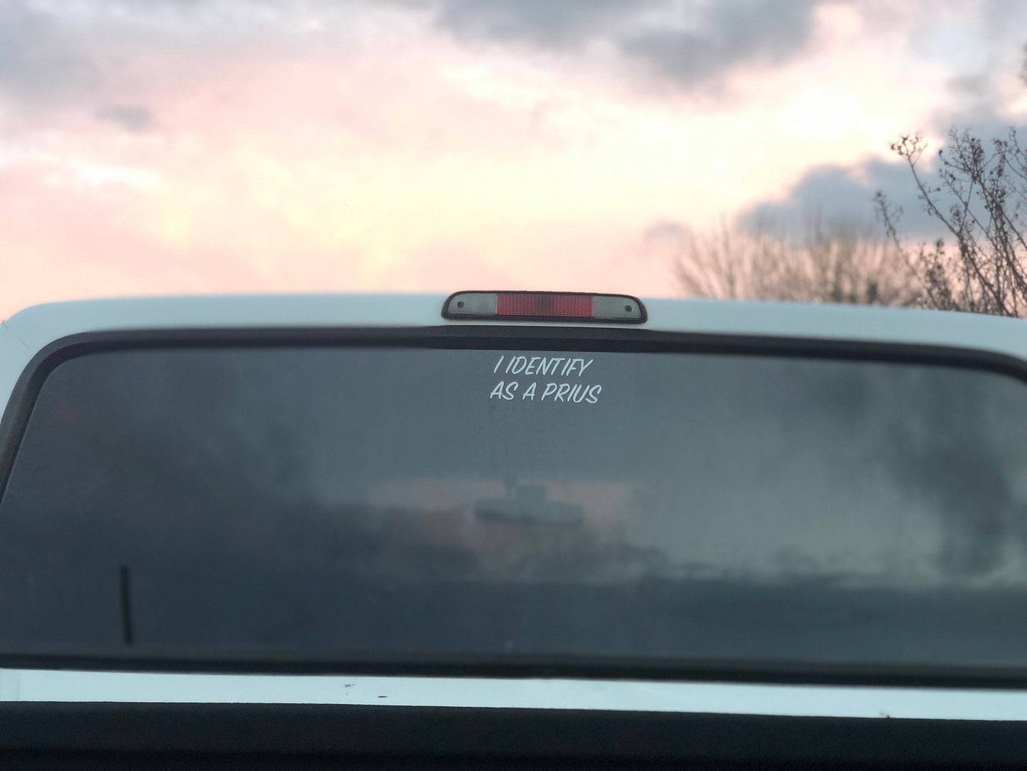 I Identify as a Prius